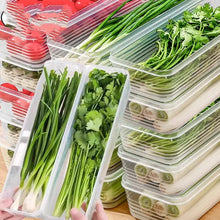 Refrigerator Herb Storage Box / Fresh Keeping Crisper Organizer with Lid shown from another angle (Kitchen Storage & Organisation)
