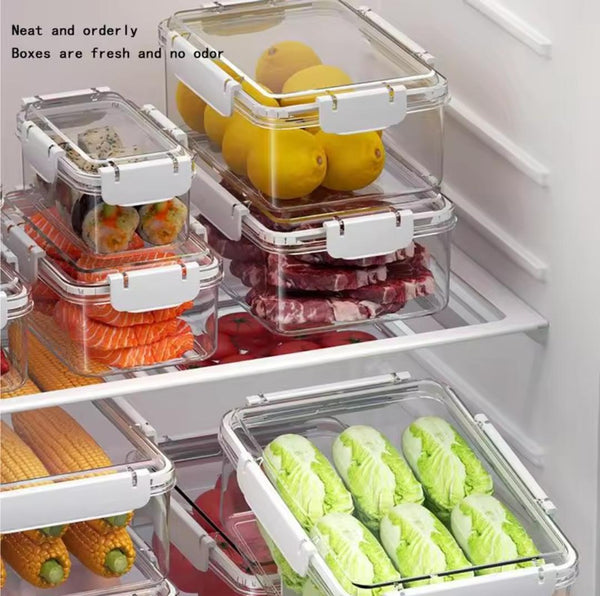 4 in 1 Transparent Airtight Pantry Boxes — Premium Acrylic, Arvani Home Essentials