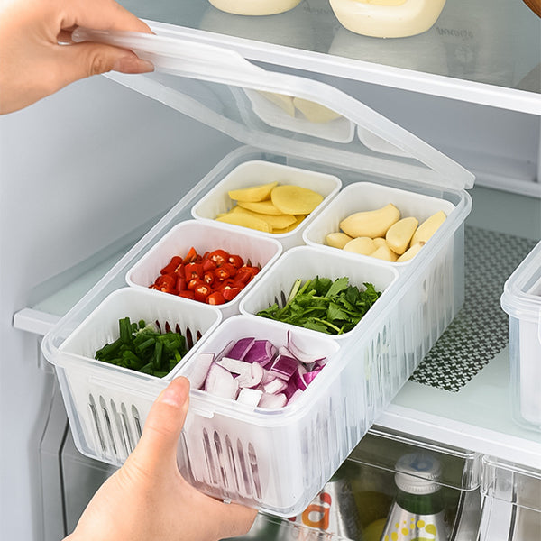 6 GRID FOOD STORAGE CONTAINER WITH LID — Food-grade plastic, Arvani Home Essentials