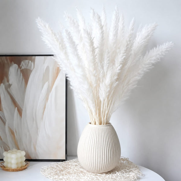 Mini Dried Pampas Grass – 10PCS — White, Off-White, Brown, Arvani Home Essentials