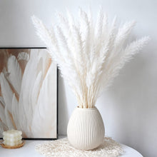 Mini Dried Pampas Grass – 10PCS — White, Off-White, Brown, Arvani Home Essentials